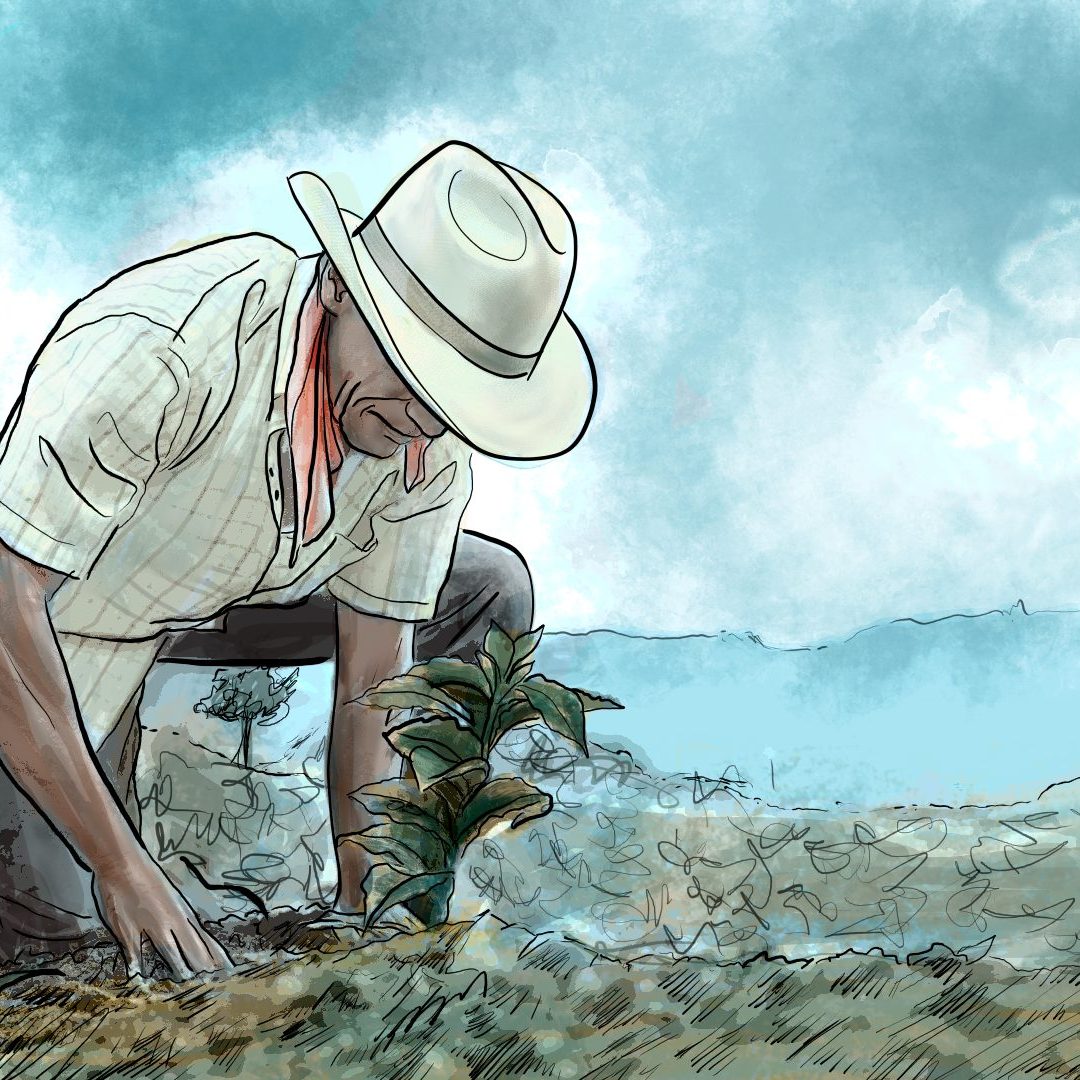 Un ambientalismo a favor de la Jurisdicción Agraria